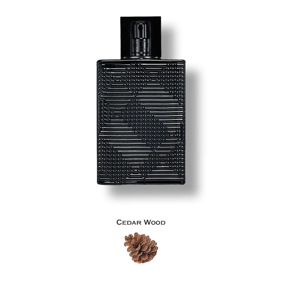 Brit Rhythm by Burberry